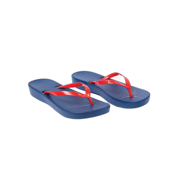 Flamingo havaianas 2024