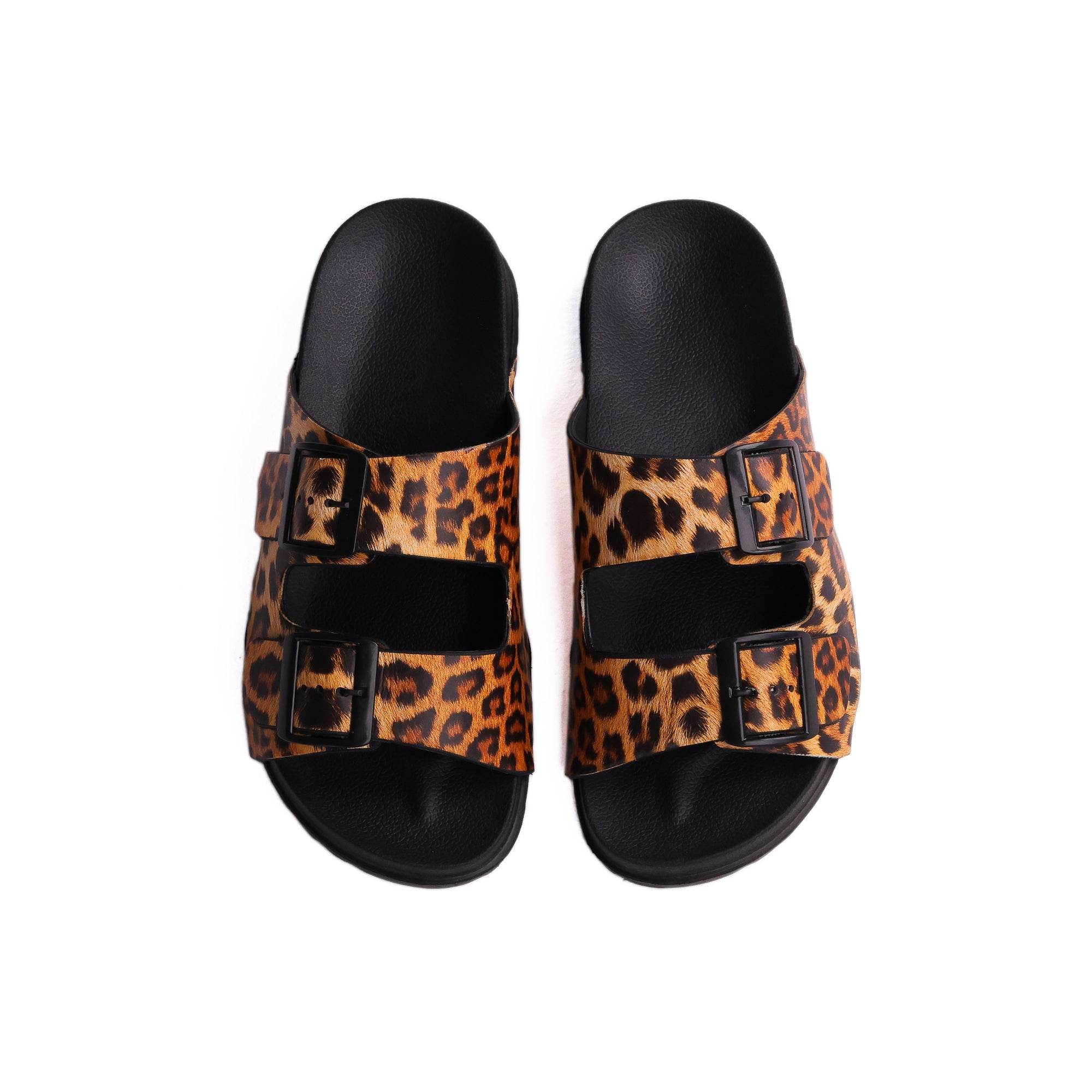 TIGER BUCKLE
